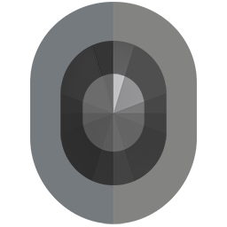 Iron